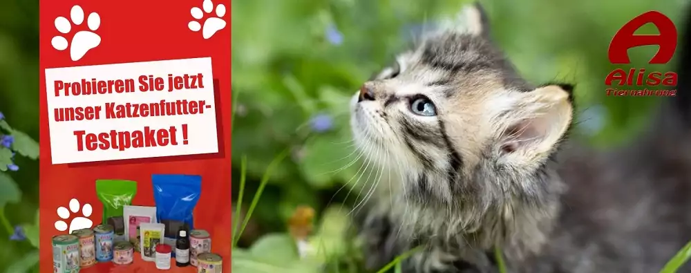 katzenfutter Testpakete testen, hypoallergene Katze mit Alisa Tiernahrung katzenfutter Testpakete testen, hypoallergene Katze mit Alisa Tiernahrung